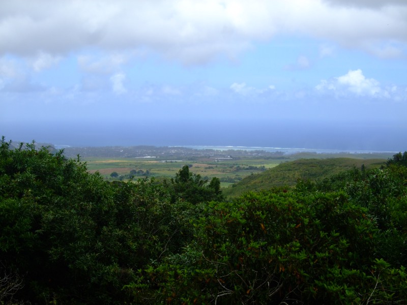 Mauritius 2010 - 0284 